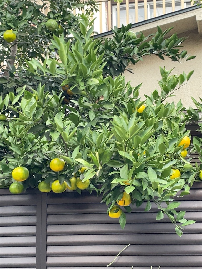 f:id:hokuto5819:20251020162527j:image