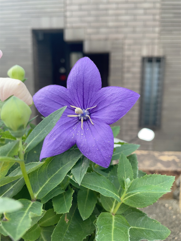 f:id:hokuto5819:20251020162715j:image