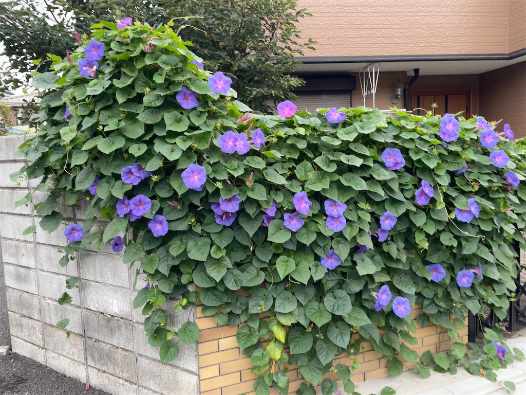 f:id:hokuto5819:20251020162749j:image