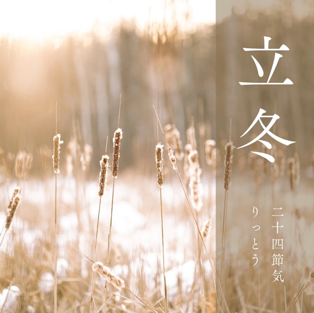 f:id:hokuto5819:20251105165453j:image