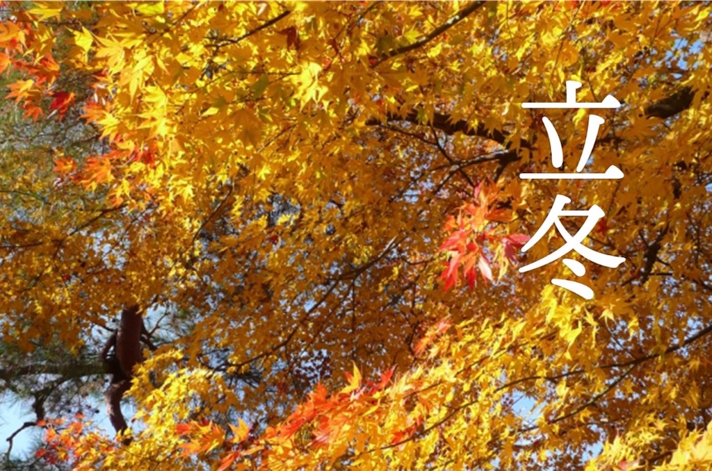 f:id:hokuto5819:20251105165508j:image