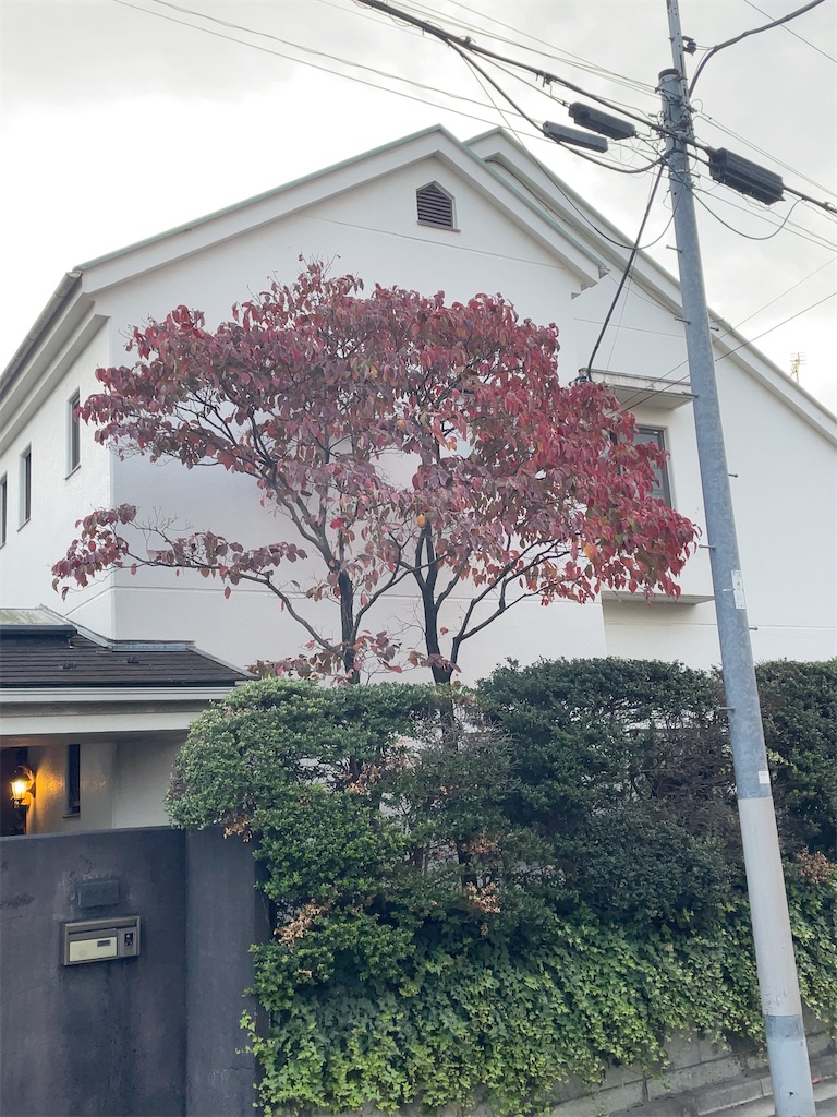 f:id:hokuto5819:20251105165629j:image