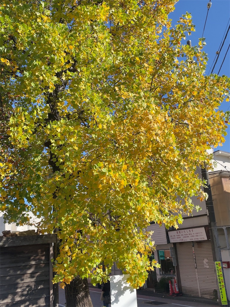 f:id:hokuto5819:20251105165726j:image