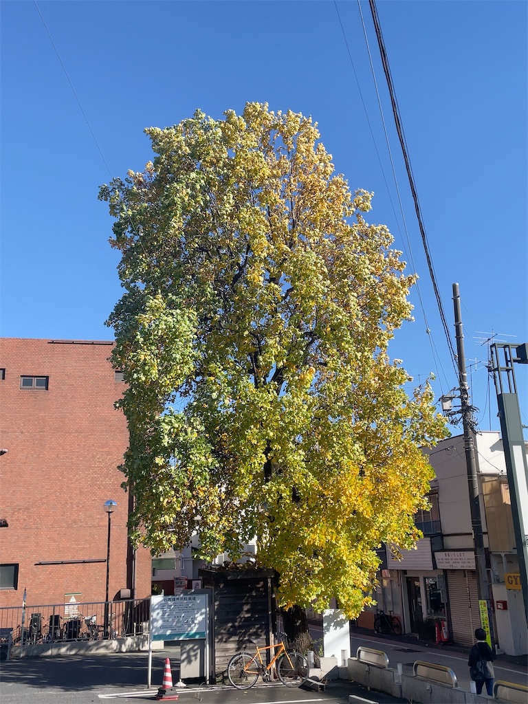 f:id:hokuto5819:20251105165732j:image