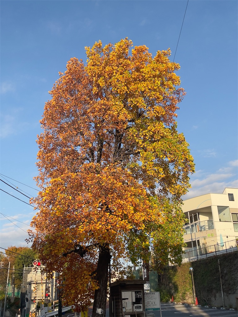 f:id:hokuto5819:20251121145154j:image