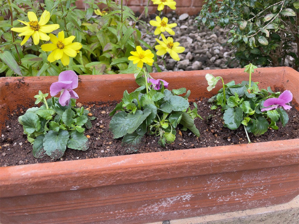 f:id:hokuto5819:20251121145449j:image