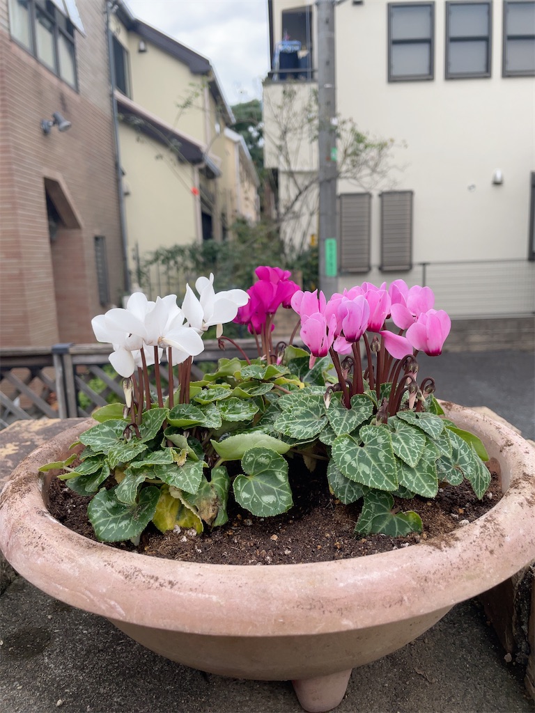 f:id:hokuto5819:20251121145453j:image