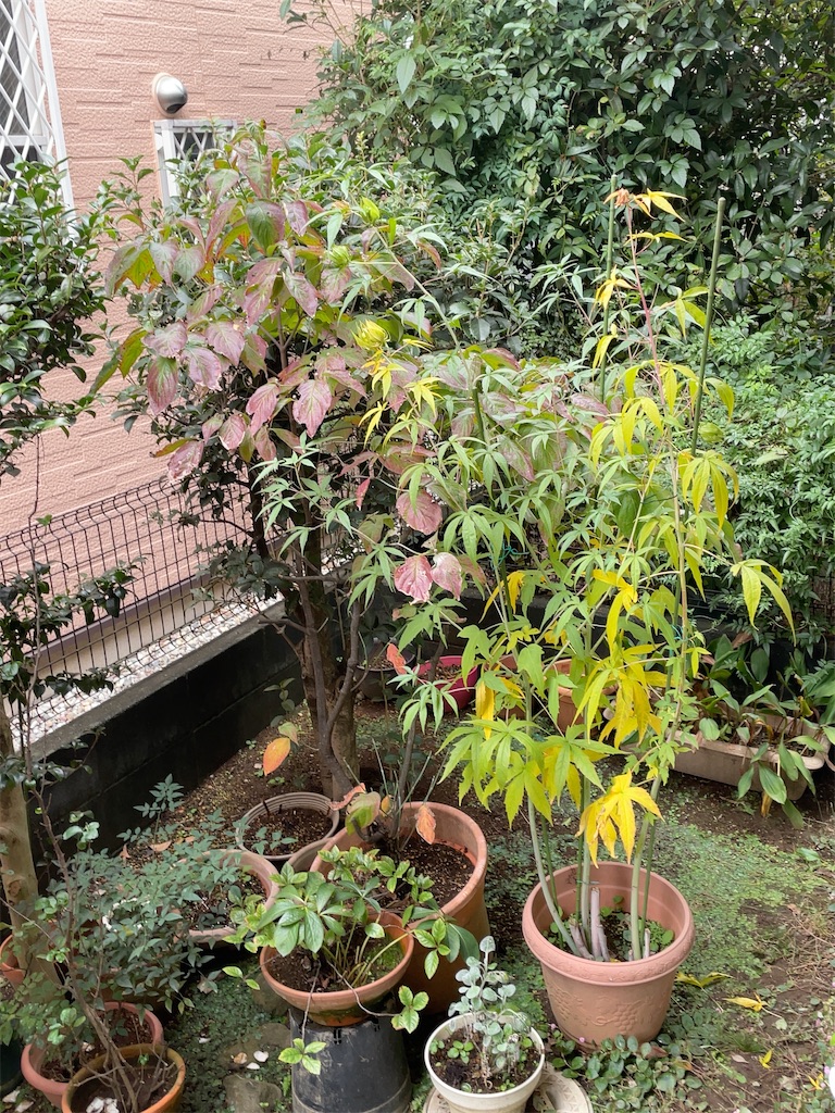 f:id:hokuto5819:20251121145544j:image