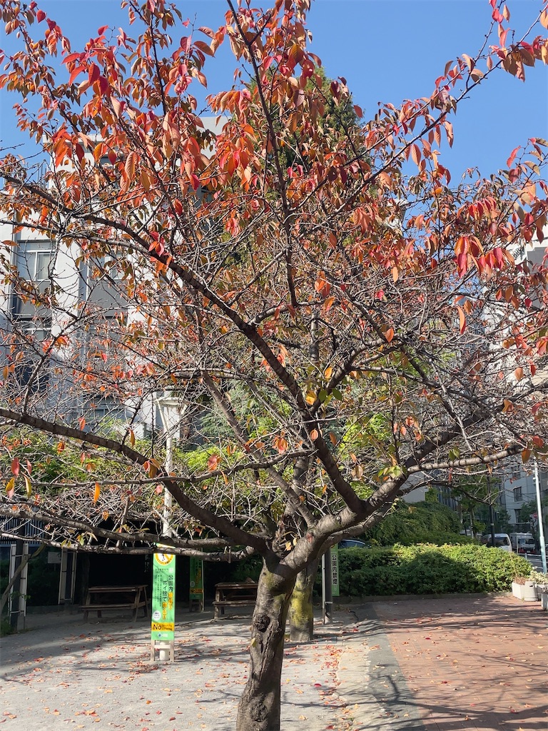 f:id:hokuto5819:20251121145742j:image