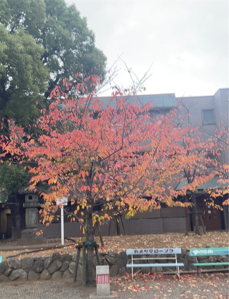 f:id:hokuto5819:20251121145745j:image