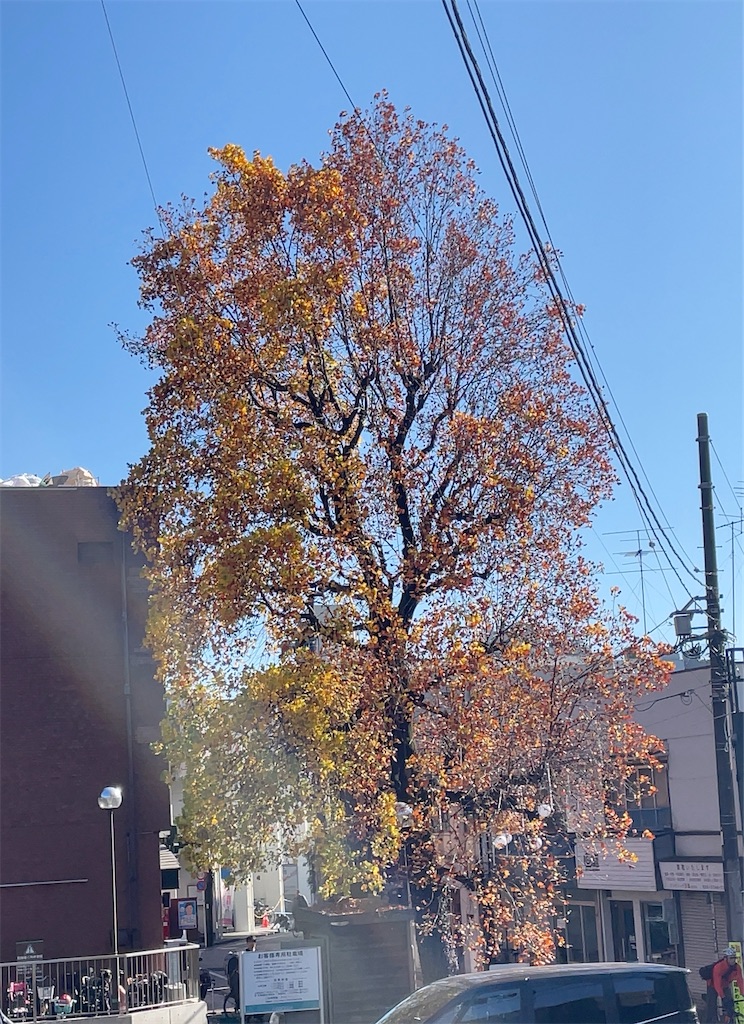 f:id:hokuto5819:20251122113917j:image