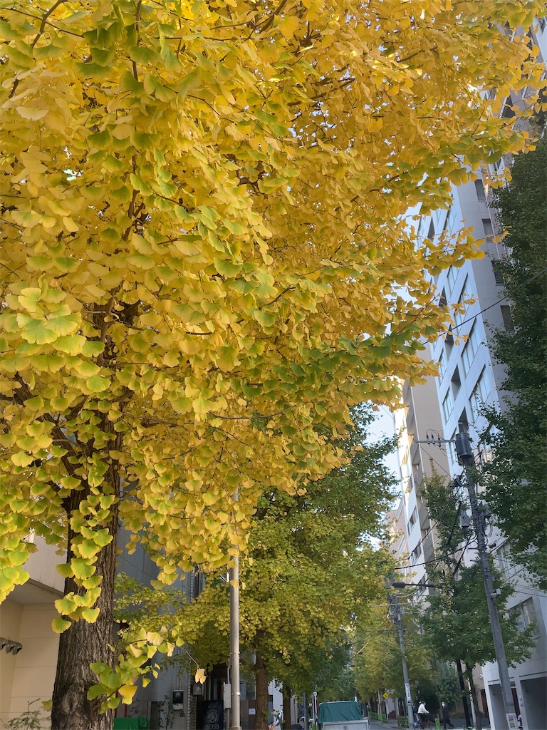 f:id:hokuto5819:20251122114242j:image