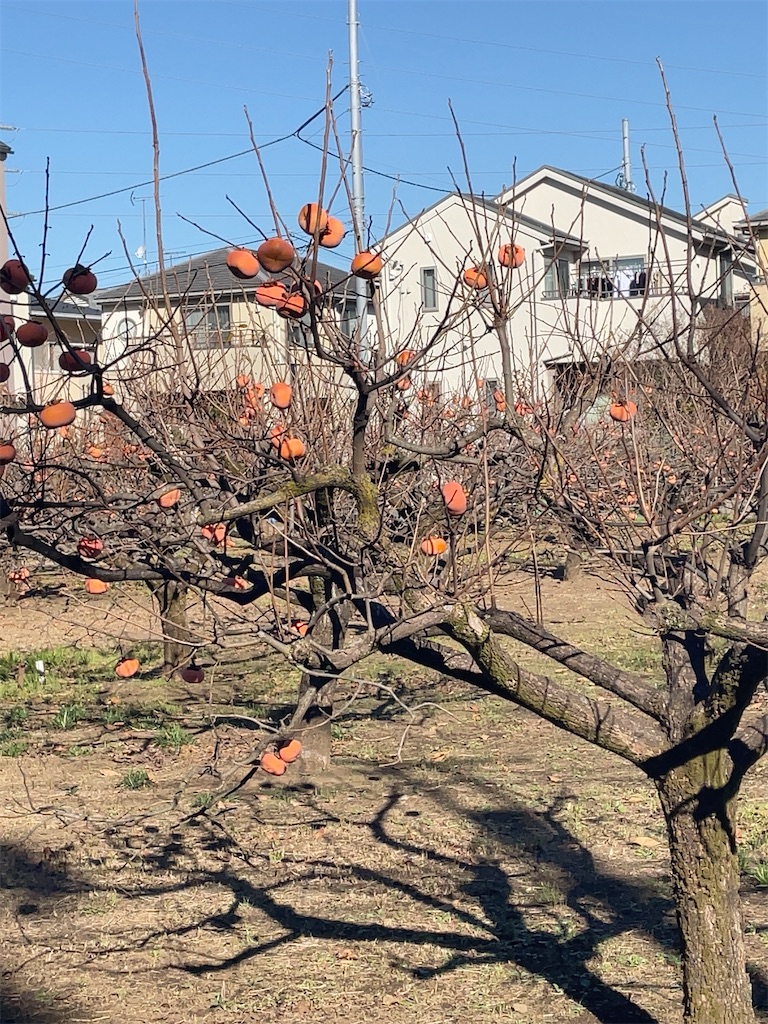 f:id:hokuto5819:20251122114437j:image