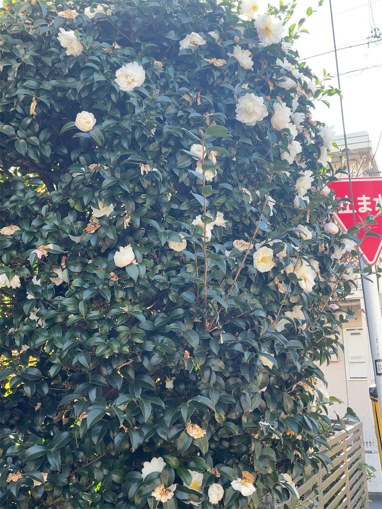 f:id:hokuto5819:20251122114627j:image