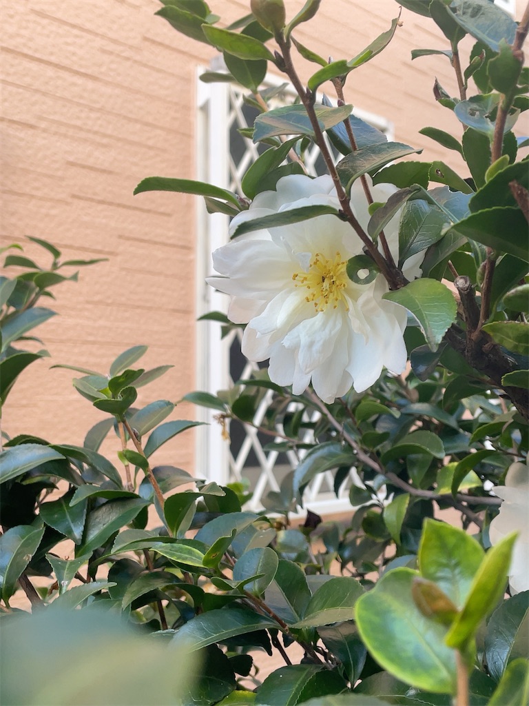 f:id:hokuto5819:20251122114658j:image