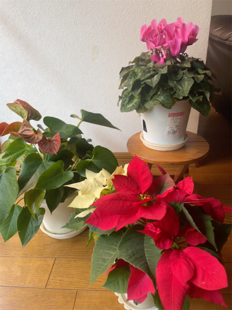 f:id:hokuto5819:20251122114751j:image