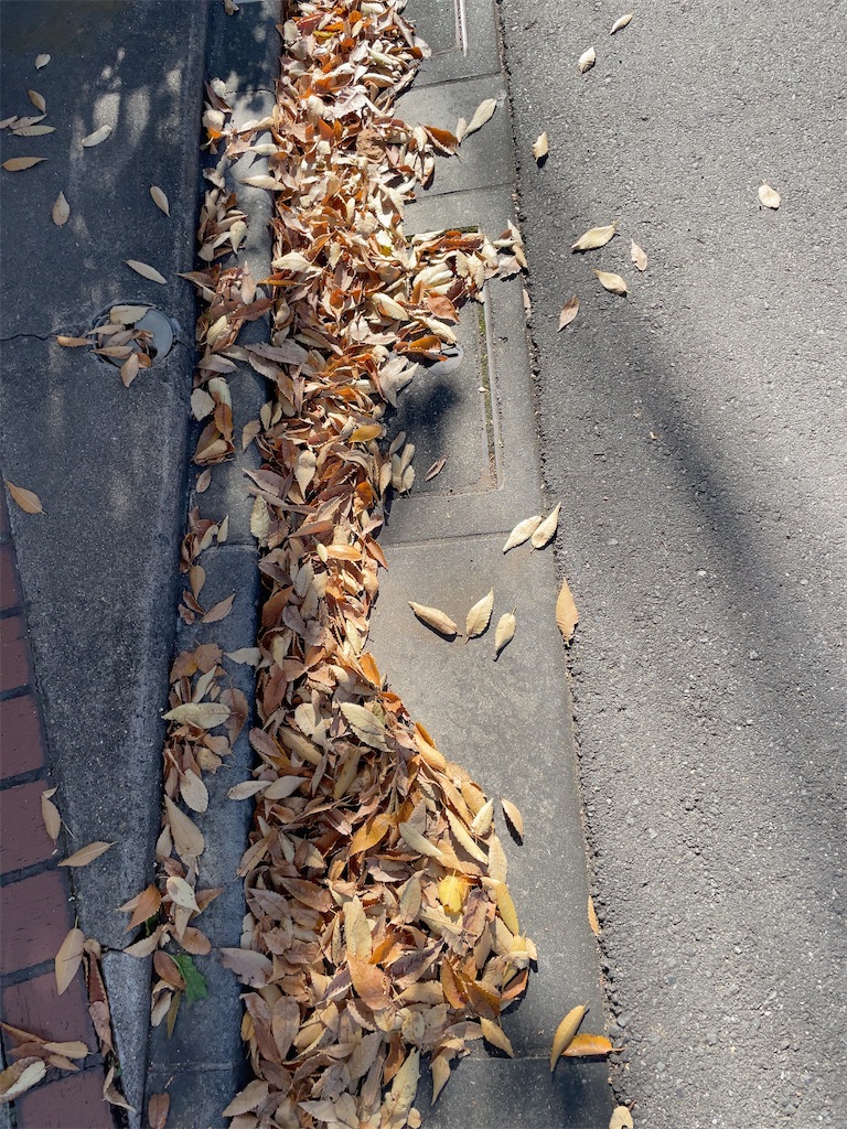 f:id:hokuto5819:20251122114932j:image