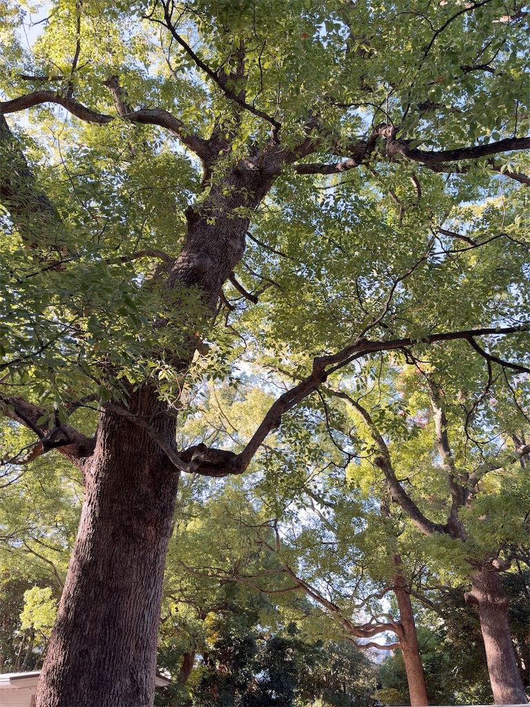 f:id:hokuto5819:20251201104444j:image