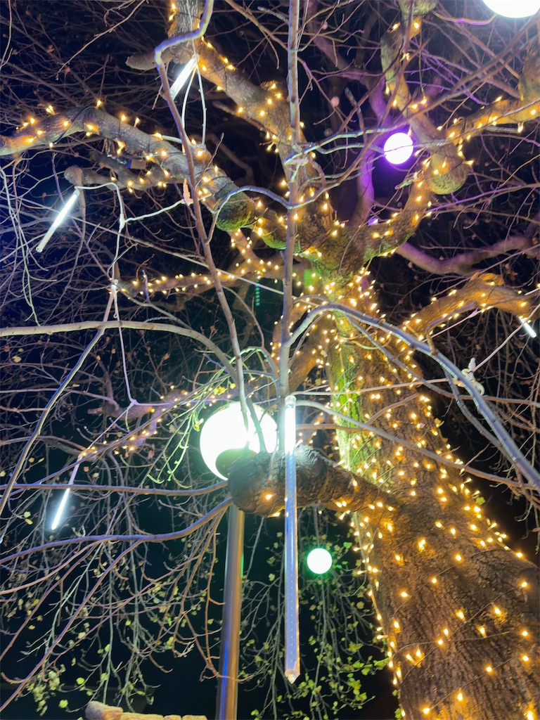 f:id:hokuto5819:20251220211149j:image