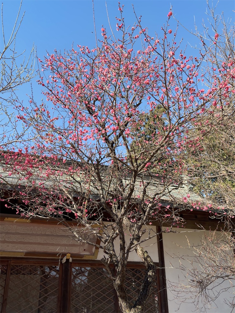 f:id:hokuto5819:20260111114512j:image