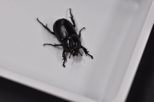 f:id:hola_baja:20120629214458j:image