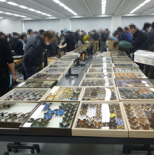 f:id:hola_baja:20150222122034j:image f:id:hola_baja:20150222122034j:image