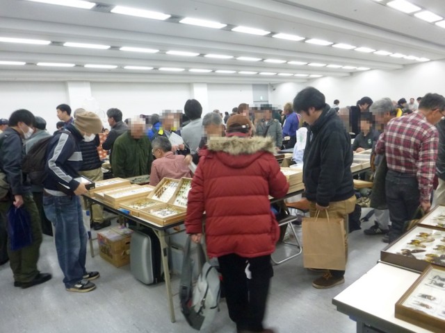 f:id:hola_baja:20150222122205j:image f:id:hola_baja:20150222122205j:image