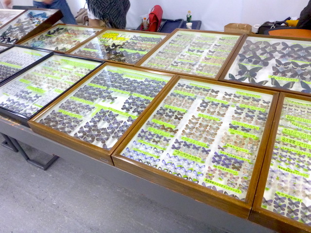 f:id:hola_baja:20150222123213j:image f:id:hola_baja:20150222123213j:image