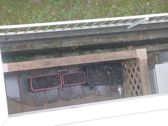 f:id:hola_baja:20170129173812j:image