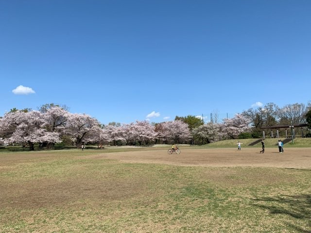 f:id:hola_baja:20190410102957j:plain