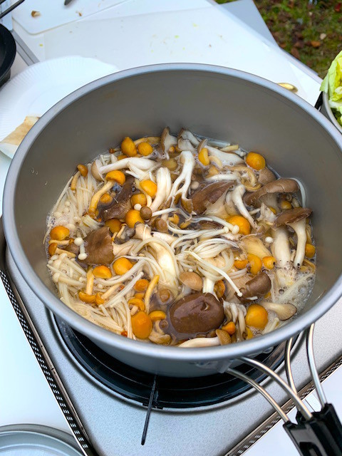 f:id:hola_baja:20191110215856j:plain