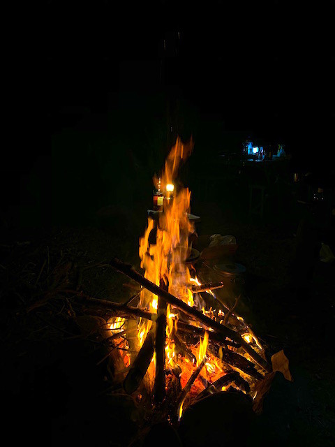 f:id:hola_baja:20191110220019j:plain