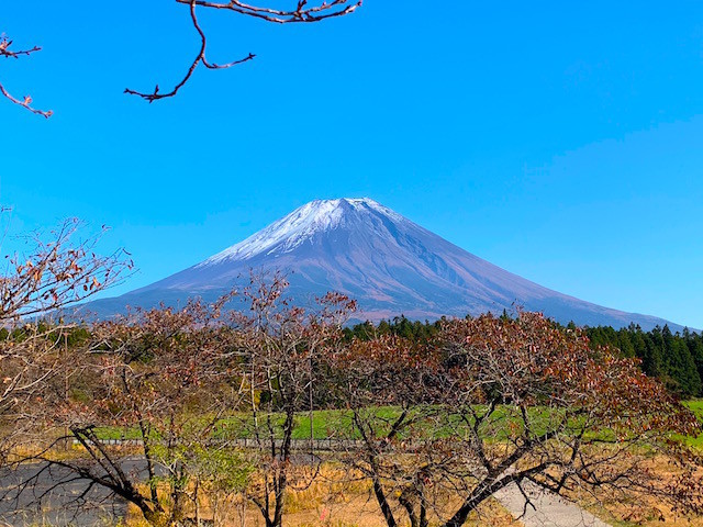 f:id:hola_baja:20191110220314j:plain