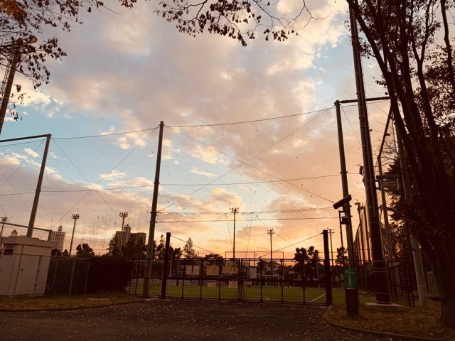 f:id:hola_baja:20191212104808j:plain f:id:hola_baja:20191212104808j:plain