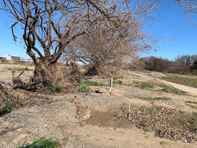 f:id:hola_baja:20191229124621j:plain f:id:hola_baja:20191229124621j:plain