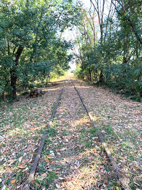 f:id:hola_baja:20191229125133j:plain f:id:hola_baja:20191229125133j:plain