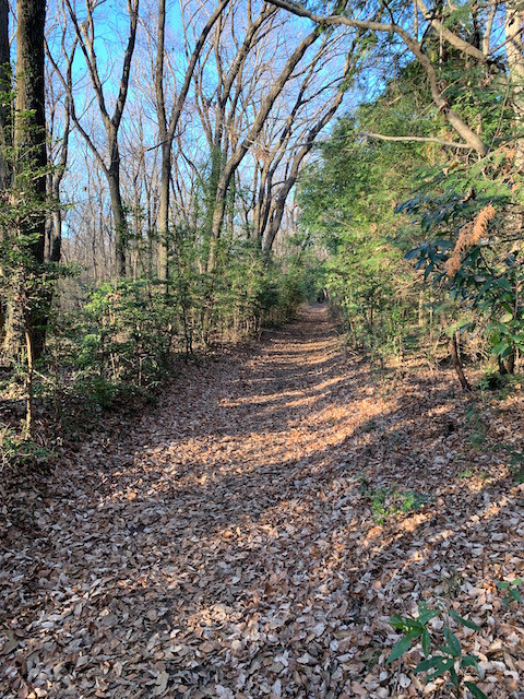 f:id:hola_baja:20191229130625j:plain f:id:hola_baja:20191229130625j:plain