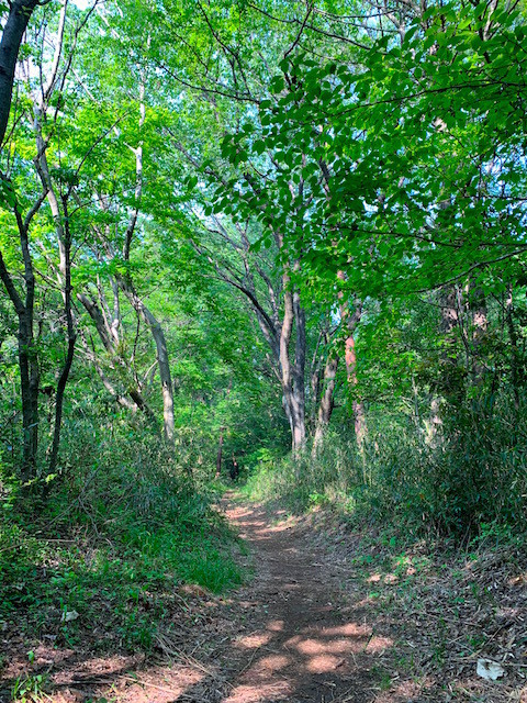 f:id:hola_baja:20200501094112j:plain f:id:hola_baja:20200501094112j:plain