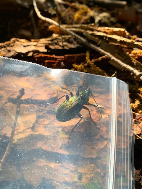 f:id:hola_baja:20200501095433j:plain f:id:hola_baja:20200501095433j:plain