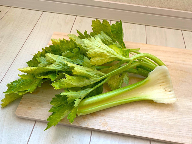 f:id:hola_baja:20201206202327j:plain