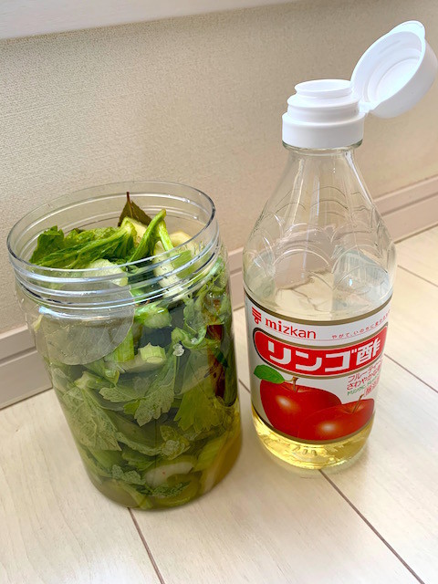 f:id:hola_baja:20201206202432j:plain