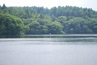 f:id:holala:20080816220305j:image f:id:holala:20080816220305j:image