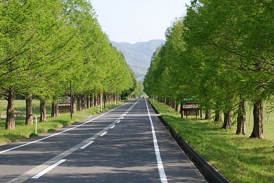 f:id:holala:20090501223932j:image
