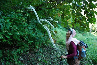 f:id:holala:20090921095224j:image f:id:holala:20090921095224j:image
