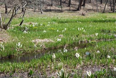 f:id:holala:20100511162537j:image