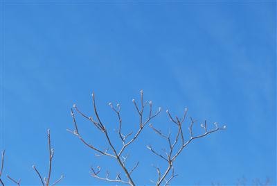 f:id:holala:20110221091750j:image