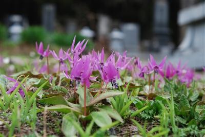 f:id:holala:20110514090856j:image:left