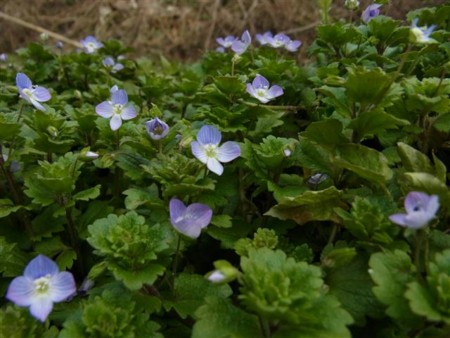 f:id:holala:20120310085710j:image f:id:holala:20120310085710j:image