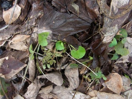 f:id:holala:20120310085711j:image f:id:holala:20120310085711j:image