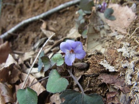 f:id:holala:20120323101732j:image